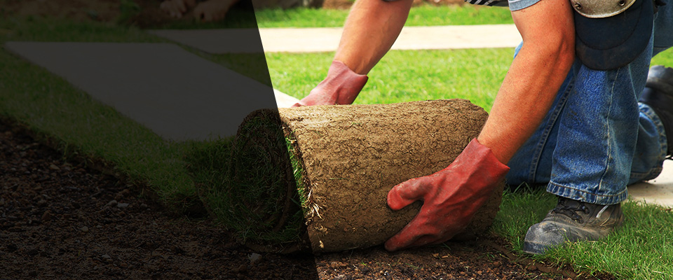 Grand Bay Landscapers